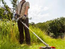 Hodnocení elektrických zastřihovačů trávy: pouze ty nejlepší modely