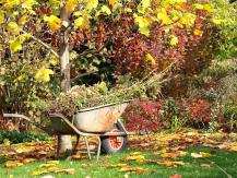 Vi stänger av trädgårdsutrustning: användbara tips för att förbereda för vintern