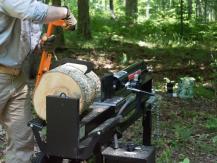Il est temps de couper du bois: 3 types d'appareils modernes pour la récolte du bois de chauffage