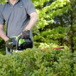 12 best cordless brush cutters that will delight you with their reliability