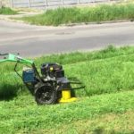 ทุกสิ่งที่คุณต้องรู้เกี่ยวกับการตัดหญ้า