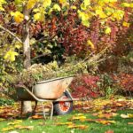 Desligamos o equipamento de jardim: dicas úteis para se preparar para o inverno